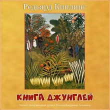 Книга Джунглей